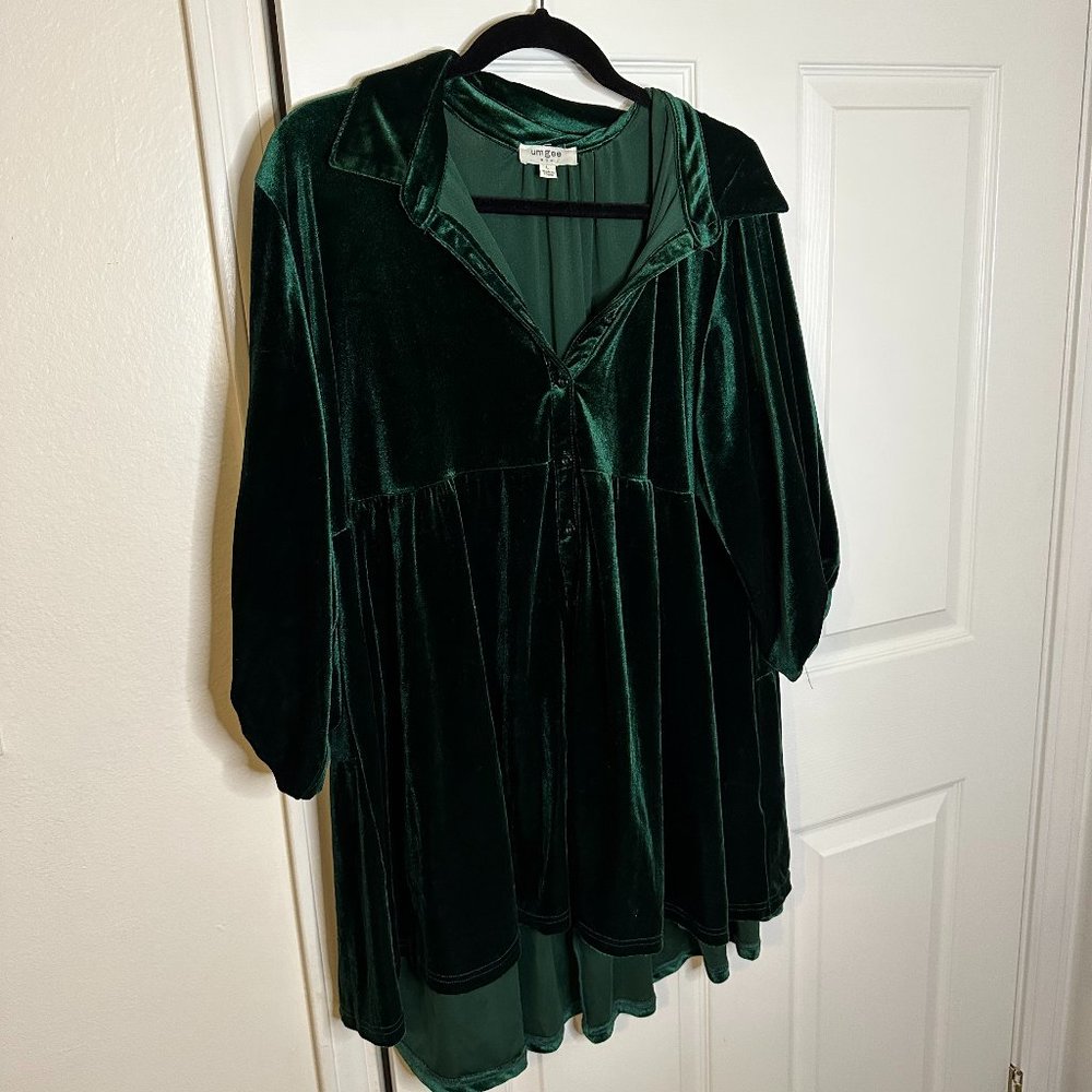 Umgee Green Velvet Tunic